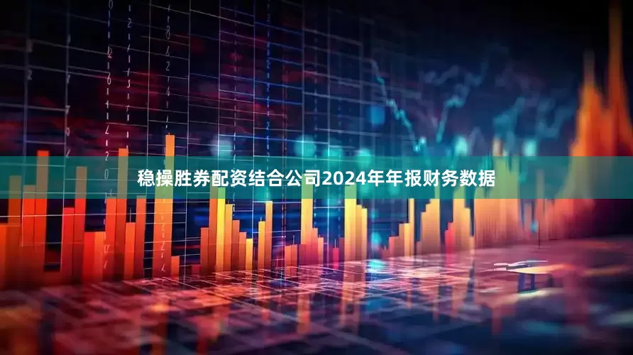 稳操胜券配资结合公司2024年年报财务数据