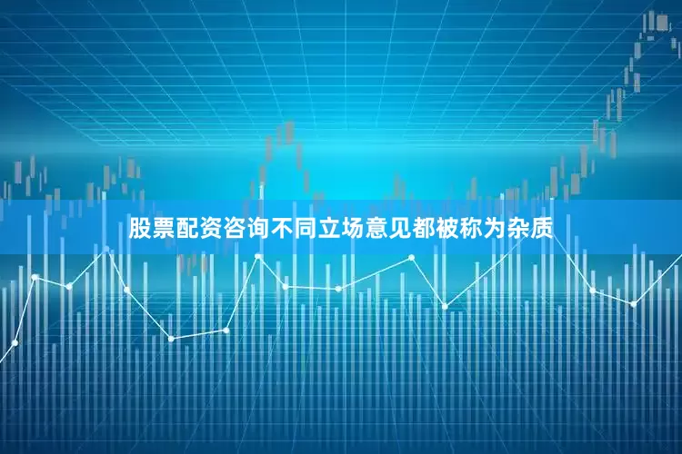 股票配资咨询不同立场意见都被称为杂质
