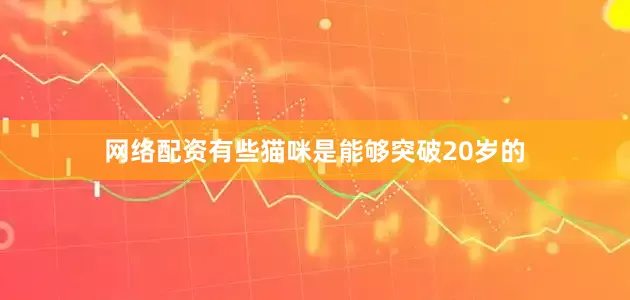 网络配资有些猫咪是能够突破20岁的